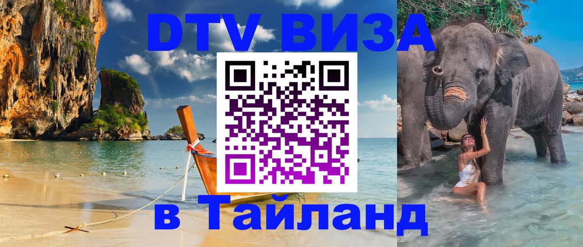 Оформление DTV визы под ключ: стоимость и тарифы, только загранпаспорт - 19.11.2025 